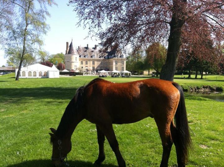 Chateau De Berticheres Chaumont-en-Vexin Ngoại thất bức ảnh